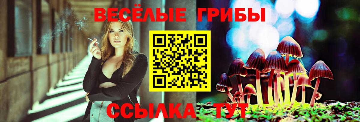 Галлюциногенные грибы Psilocybe Оренбург